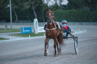 Padua, İtalya 8 Temmuz 2025, bir jokey koşum takımı yarışında yarışır, bir atı hipodromda ustalıkla sürer. Sahne, sporun hızını ve hassasiyetini yakalar.