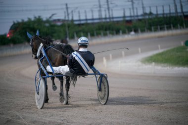 Padua, İtalya 8 Temmuz 2025, jokey ustaca manevra yapıyor toprak pistin etrafında suratını asan bir at, koşum takımı yarışında hız ve hassasiyet gösteriyor.