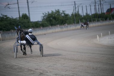 Padua, 8 Temmuz 2025, bir gece yarışında ata koşum takımı yarışçısı, sporun dinamik enerjisini ve rekabetçi ruhunu gösteriyor.