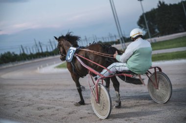 Padua, İtalya 8 Temmuz 2025, yarış sahnesinde bir at ve sürücüyü toprak pistte, rekabetçi bir ruh ve binicilik yeteneği sergiliyor.