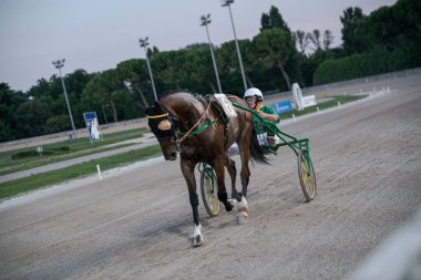 Padua, İtalya 8 Temmuz 2025, koşum takımı yarış atı bir jokeyi toprak yolda çekiyor, etrafı ağaçlar ve ışıklarla çevrili, hız ve rekabet sergiliyor.