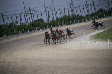 Padua, İtalya 8 Temmuz 2025. Atlar ve jokeyler virajlı bir pistte şiddetle yarışıyor. Elektrik hatları ve yeşillik zeminine karşı hız ve beceri sergiliyorlar.