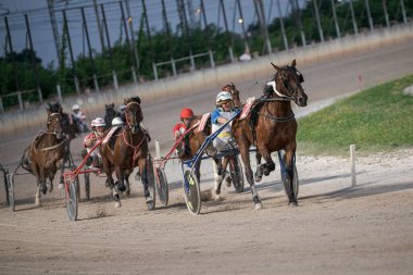 Padua, İtalya 8 Temmuz 2025, heyecan verici bir koşum takımı yarışında atlar ve sürücüler, toprak pistte hız yapıyor, açık gökyüzü altında yetenek ve kararlılık sergiliyor.