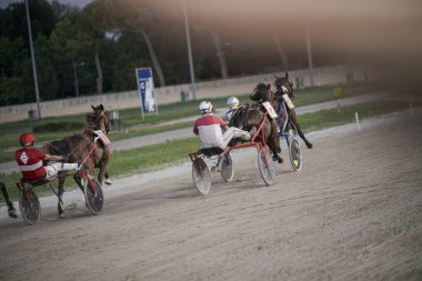 Padua, İtalya, 8 Temmuz 2025, jokeyler yarış atı çekerken somurtuyorlar toprak pistte koşum takımı yarışında yarışıyorlar. Akşam yarışı sırasında yakalanan dinamik eylem