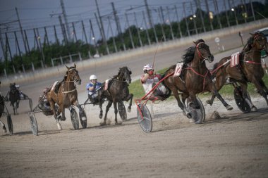 Padua, İtalya 8 Temmuz 2025, heyecan verici koşum takımı yarışında atlar ve sürücüler, açık bir gökyüzünün altındaki toprak pistte hız ve beceri gösteriyorlar.