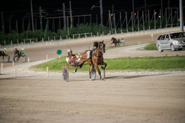 Padua, İtalya 8 Temmuz 2025, gece bir yarışçı ve bir atla koşum takımı kirli bir pistte, heyecan verici bir yarışta hız ve beceri gösteriyor.