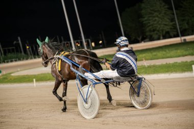 Padua, İtalya 8 Temmuz 2025. Stadyum ışıkları altında bir sürücü ve atın yer aldığı koşum takımı, sporun hız ve heyecanını yakalıyor.