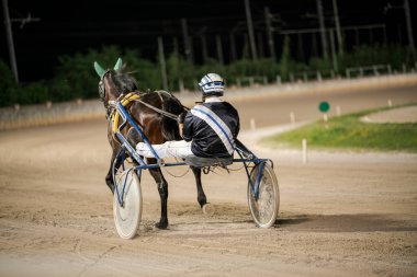 Padua, İtalya 8 Temmuz 2025, jokey atlara parlak stadyum ışıkları altında koşum takımı pistinde ustalıkla rehberlik ediyor.