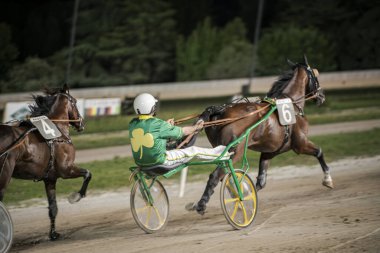 Padua, İtalya 8 Temmuz 2025, jokeyler heyecan verici bir at yarışında, parlak ışıklar altında atlarına ustalıkla rehberlik ediyorlar, hız ve strateji gösteriyorlar.
