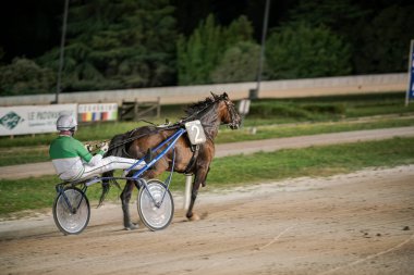 Padua, İtalya 8 Temmuz 2025, yeşil ve beyaz giyimli jokey toprak yolda suratını asmış bir at sürüyor, koşum takımı yarışında hız ve çeviklik gösteriyor.