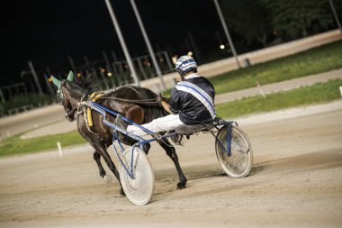 Padua, İtalya 8 Temmuz 2025, Stadyum ışıkları altında koşum takımı yarışçısı heyecanlı bir gece yarışında hız ve yetenek gösterisi yapıyor.
