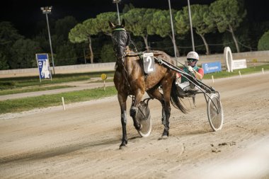 Padua, İtalya 8 Temmuz 2025, parlak ışıklar altında bir koşum takımı yarışçısı, verimli yeşilliklerle çevrili bir gece yarışında hız ve yetenek gösterisi yapıyor.