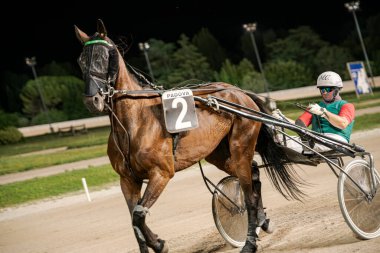 Padua, İtalya 8 Temmuz 2025, güçlü bir atı toprak bir pistte süren kararlı bir jokeyin bulunduğu koşum takımı yemyeşil ve parlak ışıklarla çevrili.