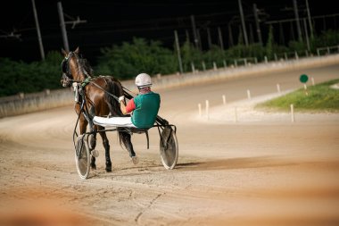 Padua, İtalya 8 Temmuz 2025, bir koşum takımı yarışçısı iyi aydınlatılmış toprak pistte bir ata ustalıkla rehberlik ediyor, sporun hızı ve hassasiyetini gösteriyor.