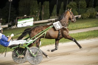 Padua, İtalya 8 Temmuz 2025, yarış atı ve sürücüsünün yarış pistinde yarış sahnesi, hız, yetenek ve kararlılık gösterisi.