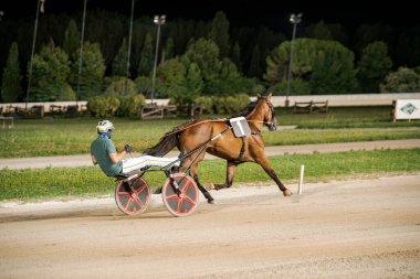 Padua, İtalya, 8 Temmuz 2025, bir koşum takımı yarış atı, bir gece yarışı sırasında yeşil ışıklarla çevrili, toprak pistte somurtkan bir sürücüyü çekiyor.