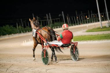 Padua, İtalya 8 Temmuz 2025, bir jokeyin iyi aydınlatılmış bir pistte at sürdüğü koşum yarışı sahnesi, sporun dinamik hareketini ve rekabetçi ruhunu yakalıyor.