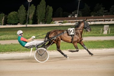 Padua, İtalya 8 Temmuz 2025, 2 numaralı at ve koşumlu jokey geceleri kumlu pistte yarışıyor.