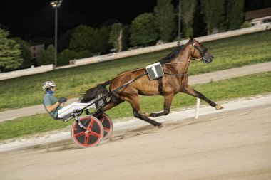 Padua, İtalya 8 Temmuz 2025, at yarışçıları hızlı bir yarışla hipodromda ustalıkla geziniyor, atın ve arabanın hızını ve çevikliğini gösteriyor