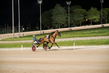 Padua, İtalya 8 Temmuz 2025, iyi aydınlatılmış bir pistte bir at ve sürücünün yer aldığı koşum takımı yarışı sahnesi, stadyum ışıkları altında hız ve çeviklik gösteriyor.