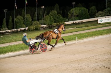 Padua, İtalya 8 Temmuz 2025, bir jokey koşum takımı yarışında, stadyum ışıkları altında bir ata rehberlik ediyor, gece yarışında hız ve yetenek gösteriyor.
