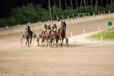 Padua, İtalya 8 Temmuz 2025, bir grup jokey kum pistinde koşum takımı yarışmasında somurtuyor.