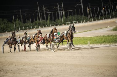 Padua, İtalya 8 Temmuz 2025. Atlar ve sürücüler, parlak stadyum ışıkları altında hız ve becerilerini sergiledikleri toprak pistte yarışacaklar.