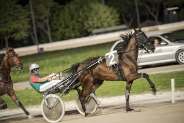 Padua, İtalya 8 Temmuz 2025, heyecan verici bir yarış ortamında yarışan iki jokeyle yarış halindeki dinamik sahne.