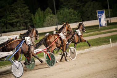 Padua, İtalya 8 Temmuz 2025, üç koşum takımı jokeylerle bir toprak pistte şiddetle yarışıyor, gece lambaları altında hız ve yetenek sergiliyor.