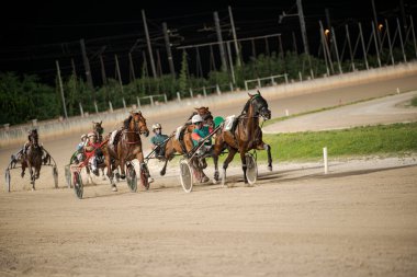 Padua, İtalya 8 Temmuz 2025. Atlar ve jokeyler gece koşum takımı yarışında şiddetli bir rekabet içindeler. Gece gökyüzünün altında iyi aydınlatılmış toprak bir pistte hız ve yetenek gösteriyorlar.
