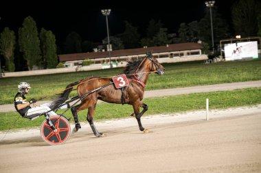 Padua, İtalya 8 Temmuz 2025, at ve jokey gece vakti iyi aydınlatılmış toprak pistte koşum koşusunda yarışıyor, açık havada hız ve atletizm gösteriyor.