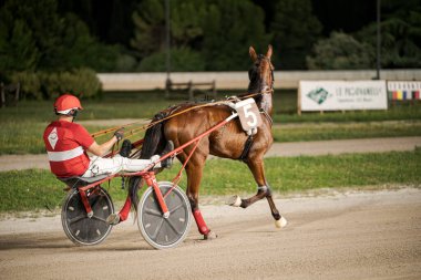 Padua, İtalya 8 Temmuz 2025, bir koşum takımı bir atı toprak yolda ustalıkla manevra ettiriyor, heyecan verici bir yarışmada hız ve hassasiyet gösteriyor.