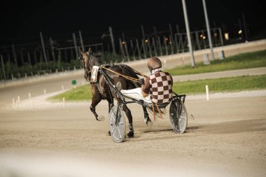 Padua, İtalya 8 Temmuz 2025, 4 numaralı at ve koşumlu jokey geceleri kumlu pistte yarışıyor.