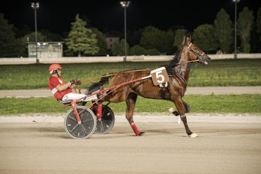 Padua, İtalya 8 Temmuz 2025, koşum takımı yarış atı ile kırmızı üniformalı bir jokeyin gece saatinde iyi aydınlatılmış bir pistte yarıştığı dinamik sahne