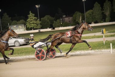 Padua, İtalya 8 Temmuz 2025, koşum takımı gece yarışta, iki at iş üstündeyken, jokeyler verimli yeşilliklerle çevrili iyi aydınlatılmış bir pistte ustaca manevra yapıyorlar.