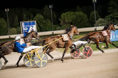 Padua, İtalya 8 Temmuz 2025, stadyum ışıkları altında yarışan atlar ve jokeyler, toprak pistte hız ve beceri gösteriyorlar.