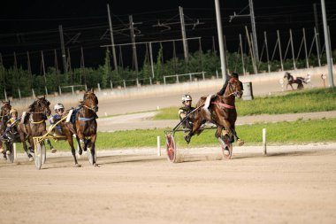 Padua, İtalya 8 Temmuz 2025, stadyum ışıkları altında heyecan verici koşum takımı yarışı, yetenekli jokeyler ve hızlı atların toprak pistte yer almaları, hız ve rekabet gösterileri