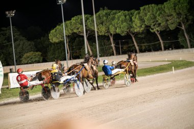 Padua, İtalya 8 Temmuz 2025. Atlar ve jokeyler, ağaçlarla çevrili, heyecan verici bir koşum takımı yarışında yarışacaklar.