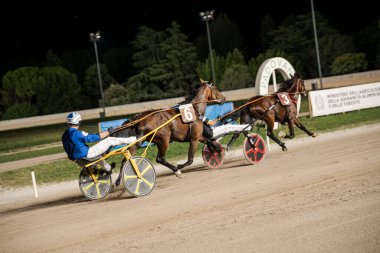 Padua, İtalya 8 Temmuz 2025, iki koşum takımı yarışçısı parlak stadyum ışıkları altında, heyecan verici bir gece yarışında hız ve beceri göstererek toprak pistte yarışıyorlar.