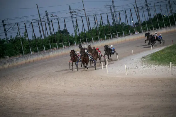 Padua, İtalya 8 Temmuz 2025. Atlar ve jokeyler virajlı bir pistte şiddetle yarışıyor. Elektrik hatları ve yeşillik zeminine karşı hız ve beceri sergiliyorlar.