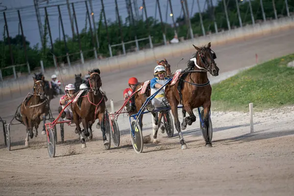 Padua, İtalya 8 Temmuz 2025, heyecan verici bir koşum takımı yarışında atlar ve sürücüler, toprak pistte hız yapıyor, açık gökyüzü altında yetenek ve kararlılık sergiliyor.