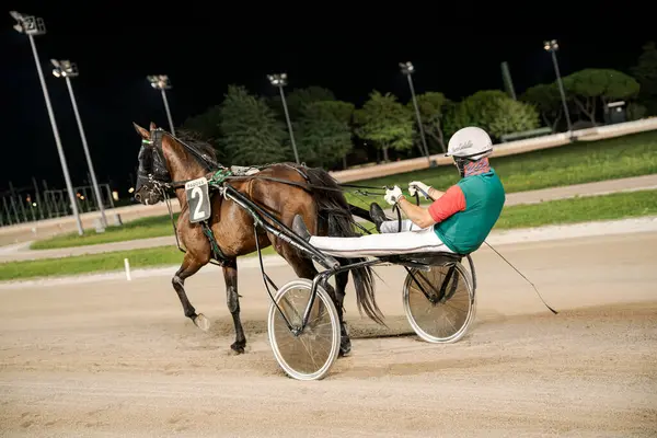 Padua, İtalya 8 Temmuz 2025, jokey yarış atlarını stadyum ışıkları altında hipodromda ustalıkla yönlendiriyor, yarışçı atçılık sporunda hız ve hassasiyet gösteriyor.