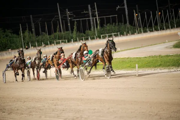 Padua, İtalya 8 Temmuz 2025. Atlar ve sürücüler, parlak stadyum ışıkları altında hız ve becerilerini sergiledikleri toprak pistte yarışacaklar.