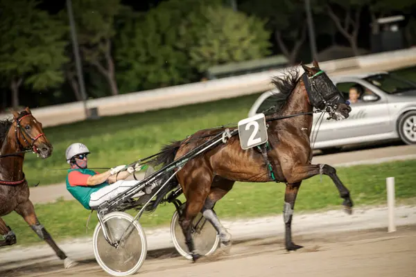 Padua, İtalya 8 Temmuz 2025, heyecan verici bir yarış ortamında yarışan iki jokeyle yarış halindeki dinamik sahne.