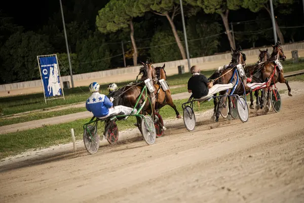 Padua, İtalya 8 Temmuz 2025, jokeylerin atlara toprak yolda rehberlik ettiği yoğun koşum takımı sahnesi, arka planda ağaçlarla açık bir gökyüzü altında hız ve beceri gösterisi.