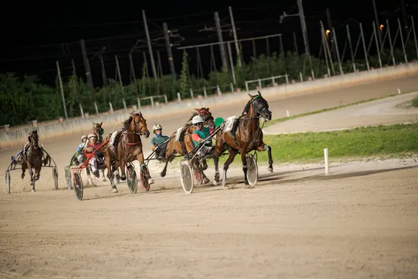 Padua, İtalya 8 Temmuz 2025. Atlar ve jokeyler gece koşum takımı yarışında şiddetli bir rekabet içindeler. Gece gökyüzünün altında iyi aydınlatılmış toprak bir pistte hız ve yetenek gösteriyorlar.