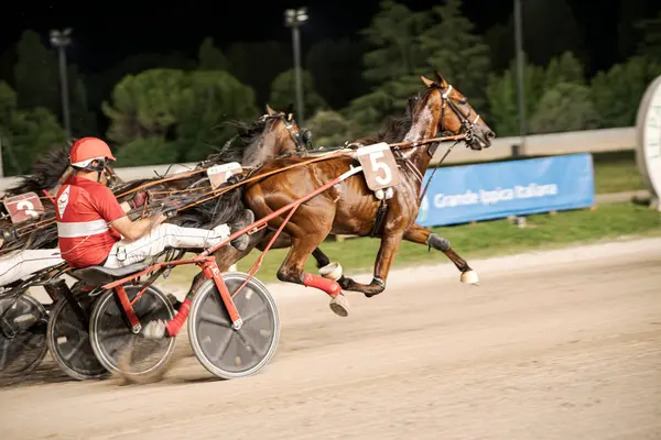 Padua, İtalya 8 Temmuz 2025, yoğun bir at yarışı sahnesi jokeyler aksiyon halinde, hız ve rekabeti iyi aydınlatılmış arka planda yemyeşil bir pistte sergiliyorlar.