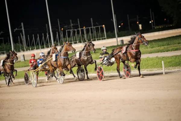 Padua, İtalya 8 Temmuz 2025. Atlar ve jokeyler heyecanlı bir koşum takımı yarışında çok iyi aydınlatılmış bir pistte gece gökyüzü altında hız ve beceri sergiliyorlar.