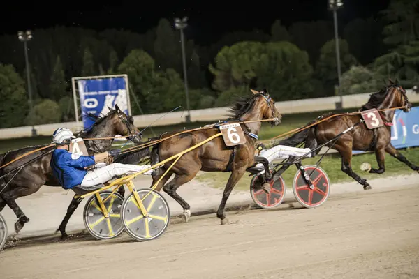 Padua, İtalya 8 Temmuz 2025, stadyum ışıkları altında yarışan atlar ve jokeyler, toprak pistte hız ve beceri gösteriyorlar.