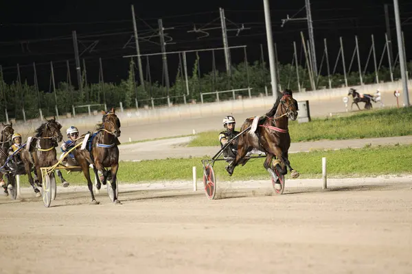 Padua, İtalya 8 Temmuz 2025, stadyum ışıkları altında heyecan verici koşum takımı yarışı, yetenekli jokeyler ve hızlı atların toprak pistte yer almaları, hız ve rekabet gösterileri